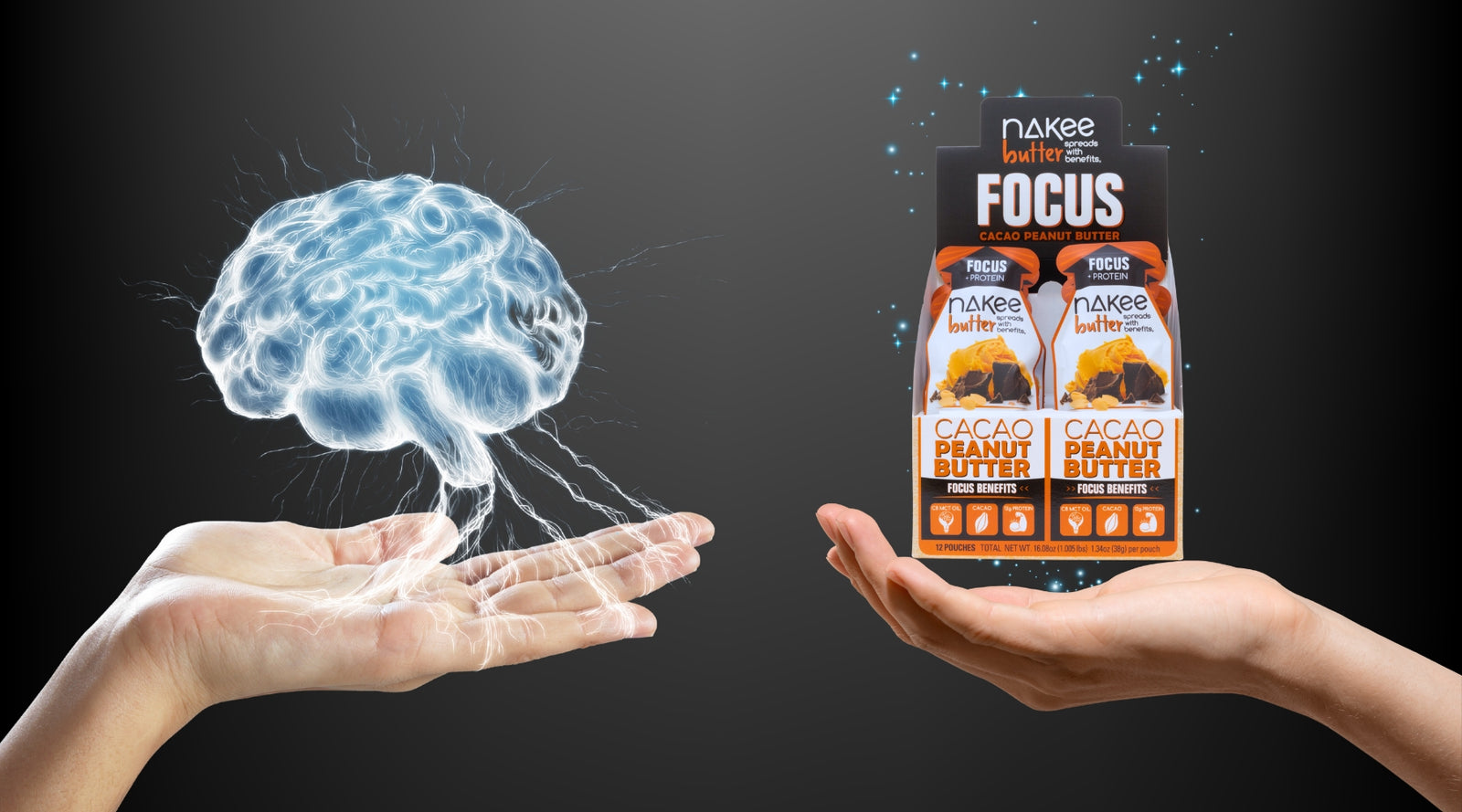 The Importance of the Brain