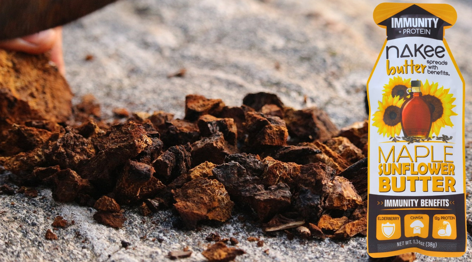 Ingredient Blog - Chaga Mushrooms
