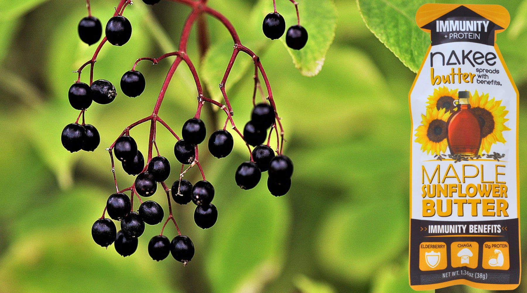 Ingredient Blog - Elderberries