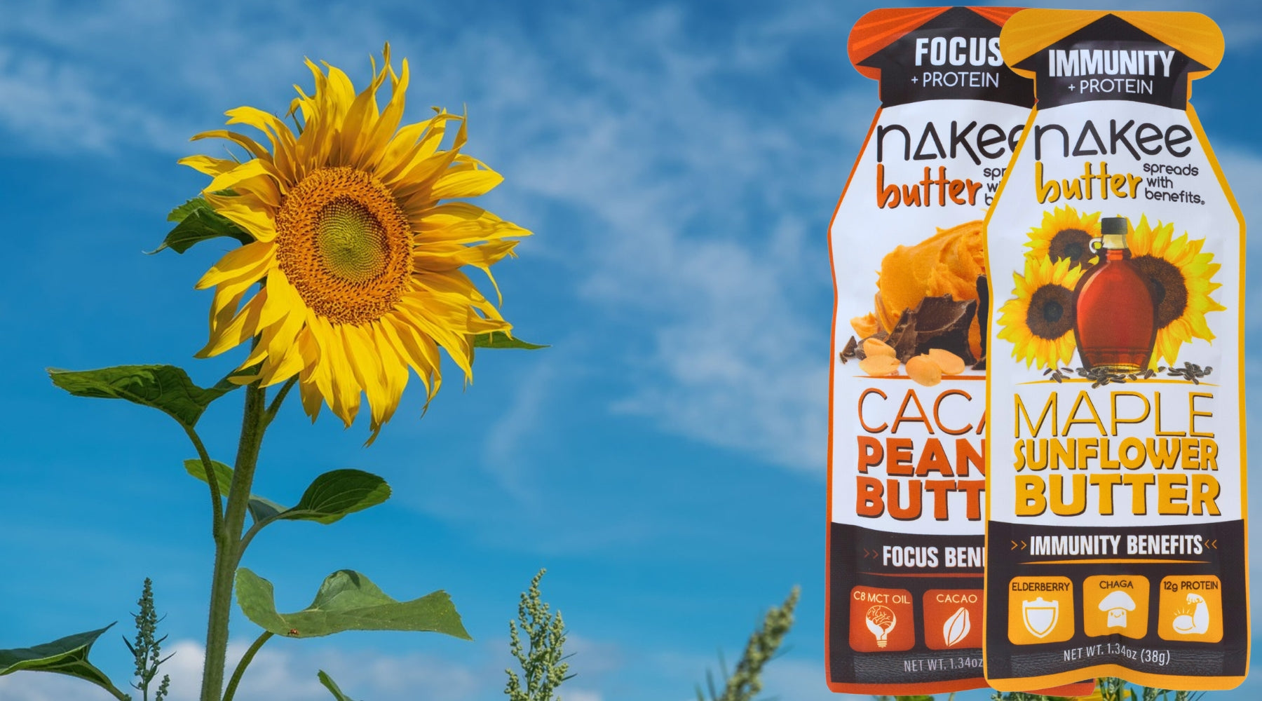 Ingredient Blog: Sunflower Lecithin